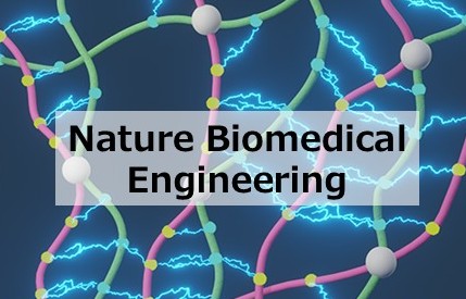 立体的な安定性に依存しない透明マントが、難治性がんに対するナノ製剤の飢餓療法を可能にする