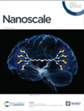 生体バリアーの克服：鼻腔から脳への送達を実現するナノ医療における戦略
