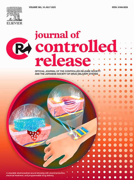 シリカコーティングされたポリイオン複合体によるmRNAの肺送達効率向上と最適化されたシリカ層の安定性