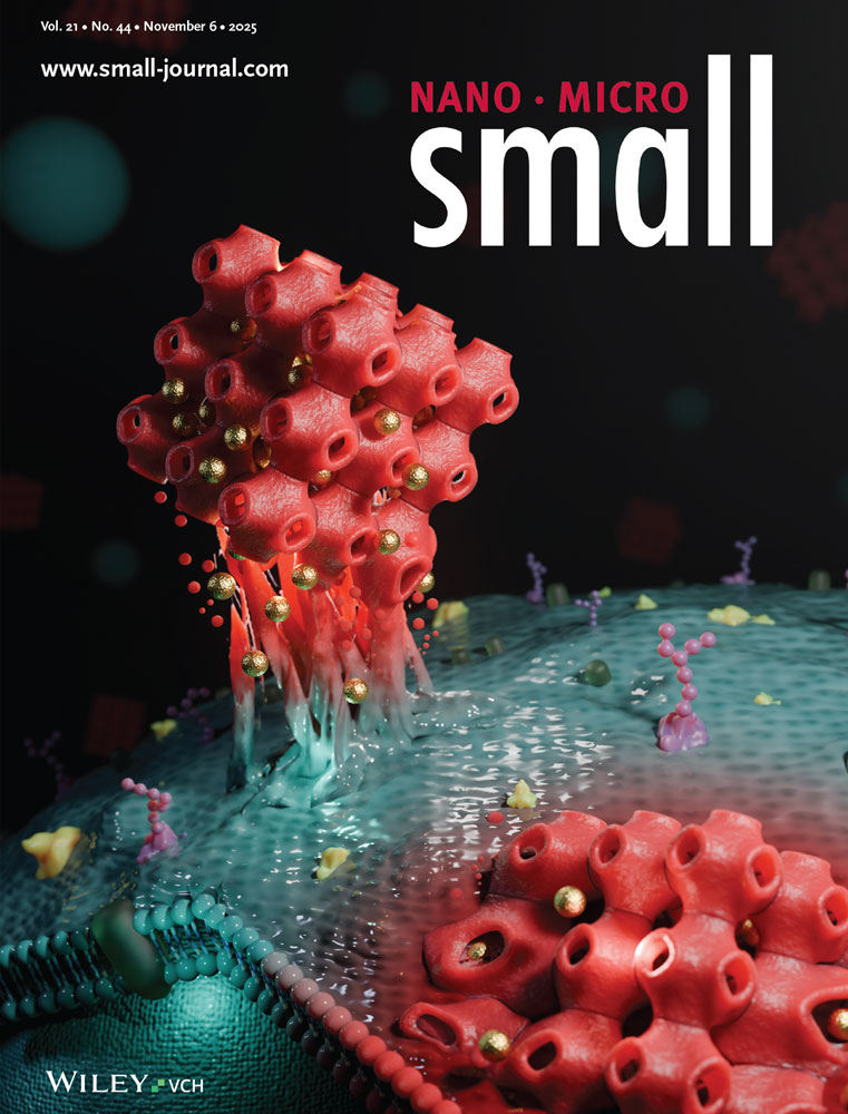 DDR1を介したコラーゲンシグナル伝達は、膵臓がん線維化の3次元モデルにおいて高分子薬物送達を困難にさせる